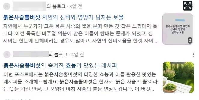 네이버 블로그 근황 feat.독버섯_1.png