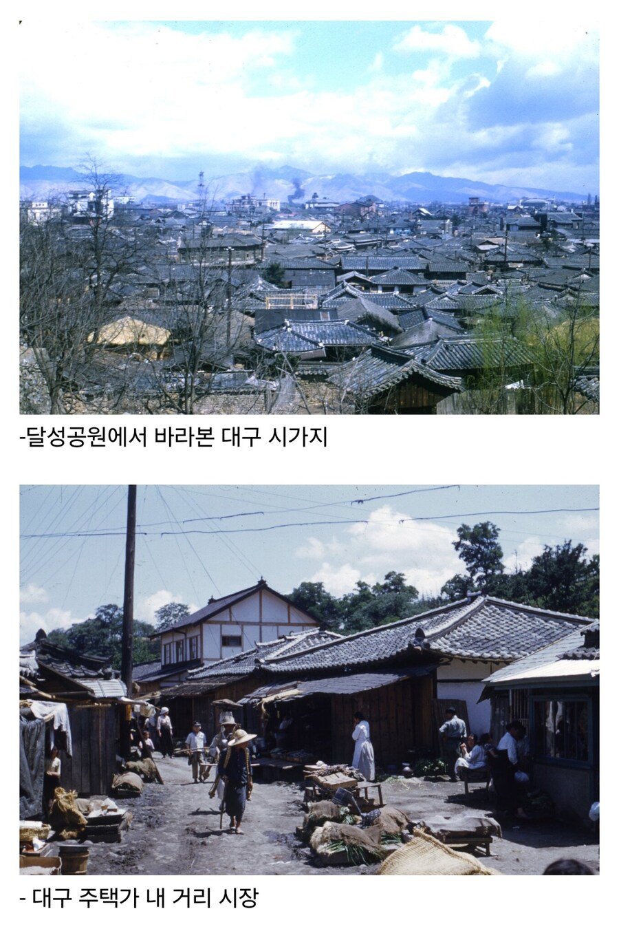 1952년 한국전쟁 당시 대구 컬러 사진.jpg_4.jpg