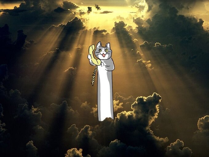 승천한 고양이_1.jpg