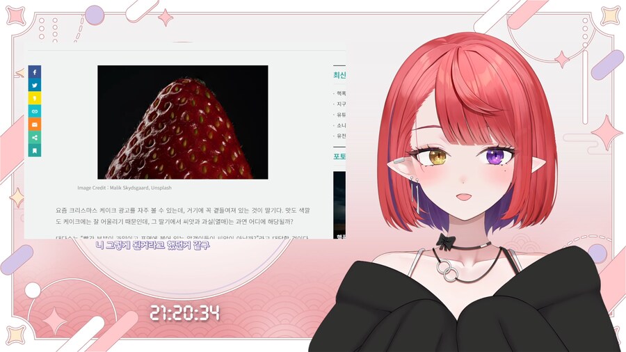 버튜버) 나츠키: 님들 딸기에 있는 알갱이들이 사실 열매래요_1.png