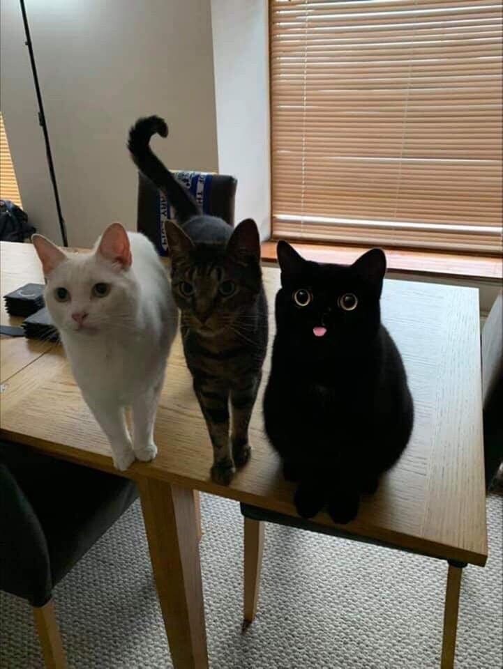 야 짤 달린다!!!_6.jpg