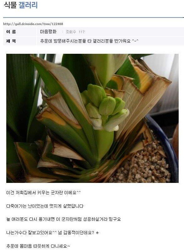 어그로 : 이정도면 이인간들 부들부들 하고 있겠지???_2.jpg