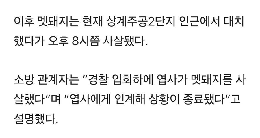 [속보]노원구 상계동 아파트단지에 멧돼지 출현… 사살_1.jpg