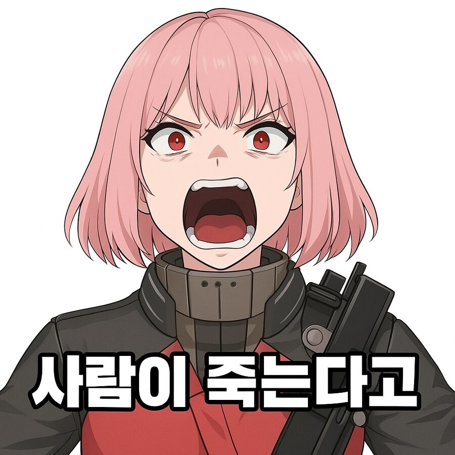 소전2) 한국 디코 공식 채널에서 퍼온 짤_1.jpg