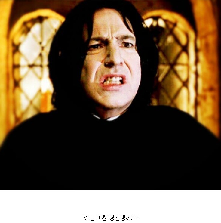 해리포터) 덤블도어를 너무 못 믿은거 아님?_6.png