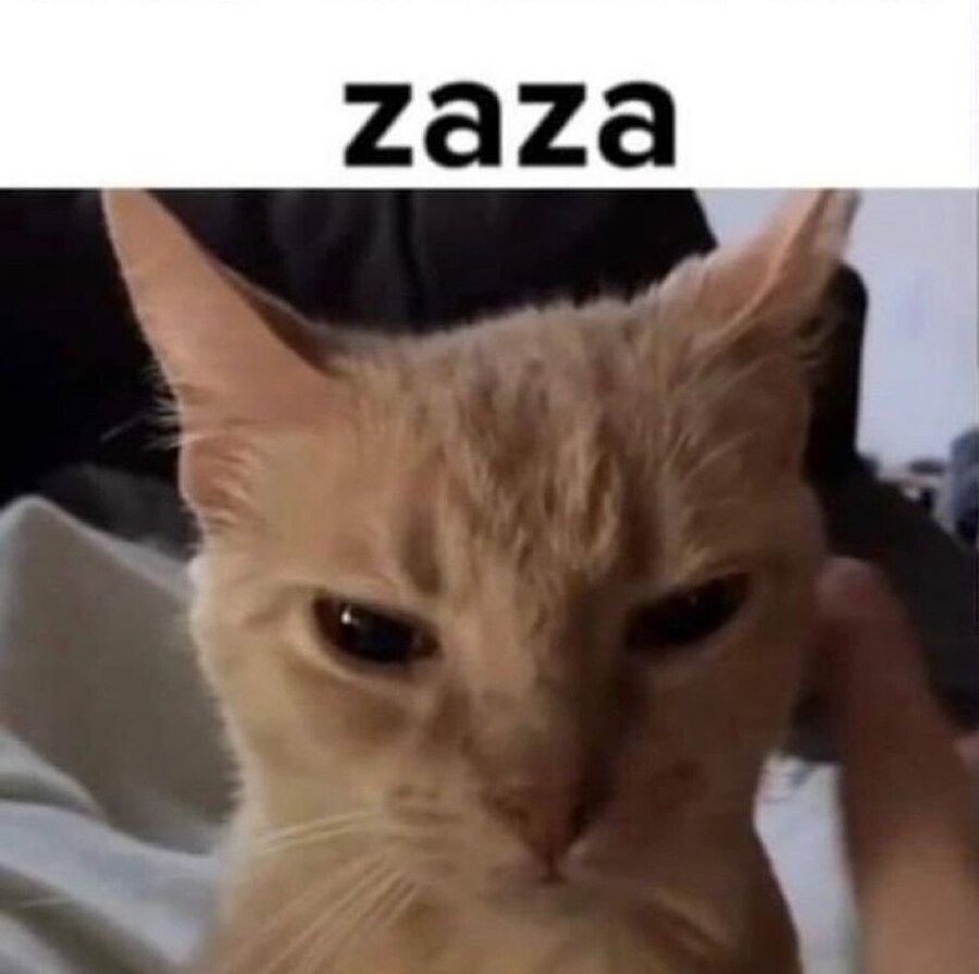 자자_1.jpg