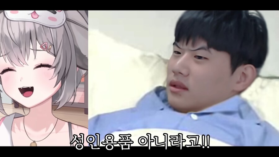 인방) 미녕이의 스트리머 암살시도.jpg_5.png