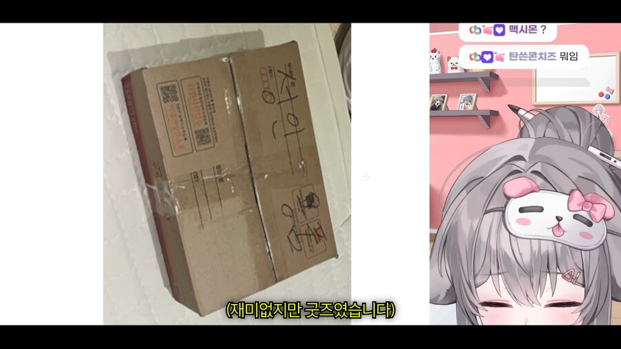 인방) 미녕이의 스트리머 암살시도.jpg_7.png