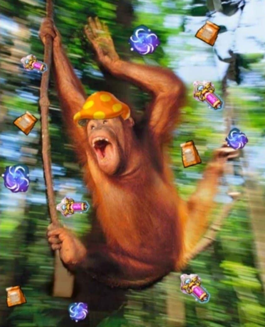 쌀숭이짤 주운거 왤케웃기지_1.jpg