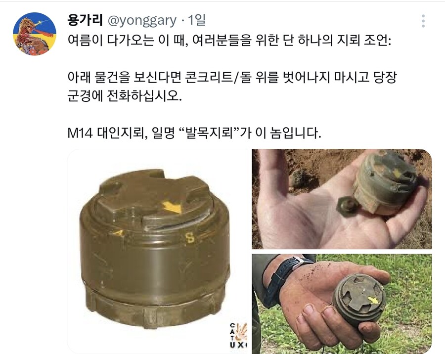 이런걸 보면 땅을 밟지마새요_1.jpg