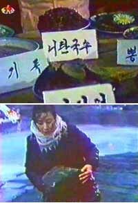 피트감이 끝내주는 북한 음식_1.jpg