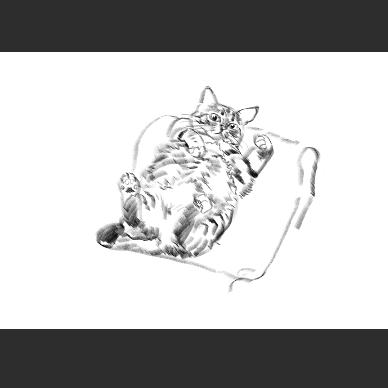 고양이) 우리집 고양이그림 보고가셈_3.png