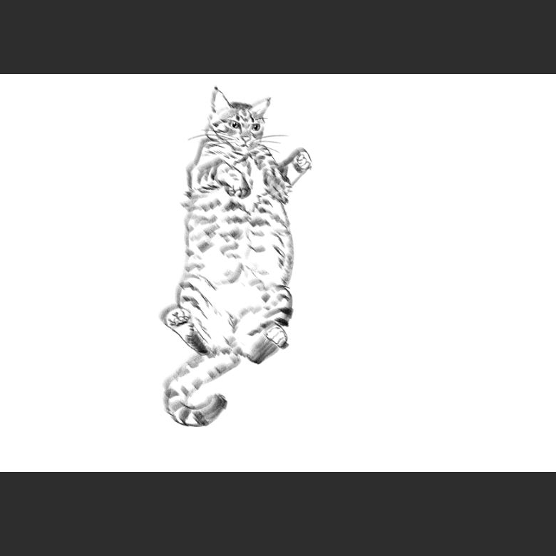 고양이) 우리집 고양이그림 보고가셈_4.png