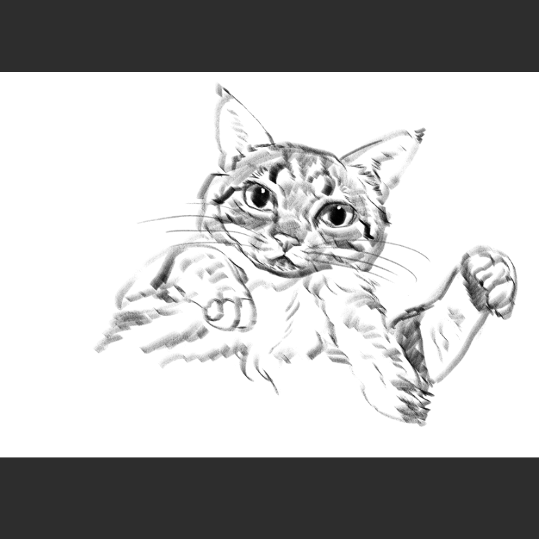 고양이) 우리집 고양이그림 보고가셈_6.png