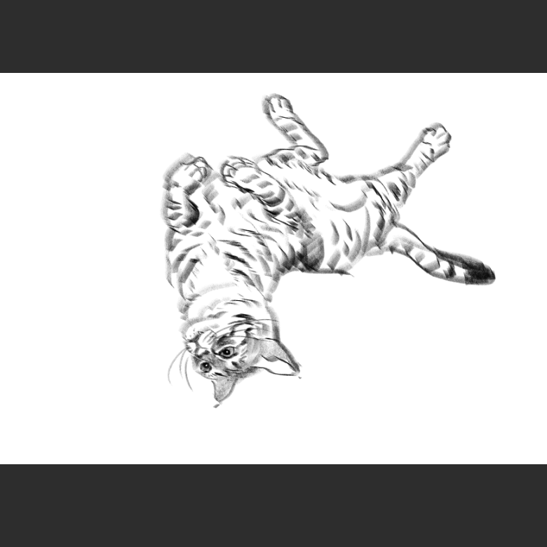 고양이) 우리집 고양이그림 보고가셈_8.png