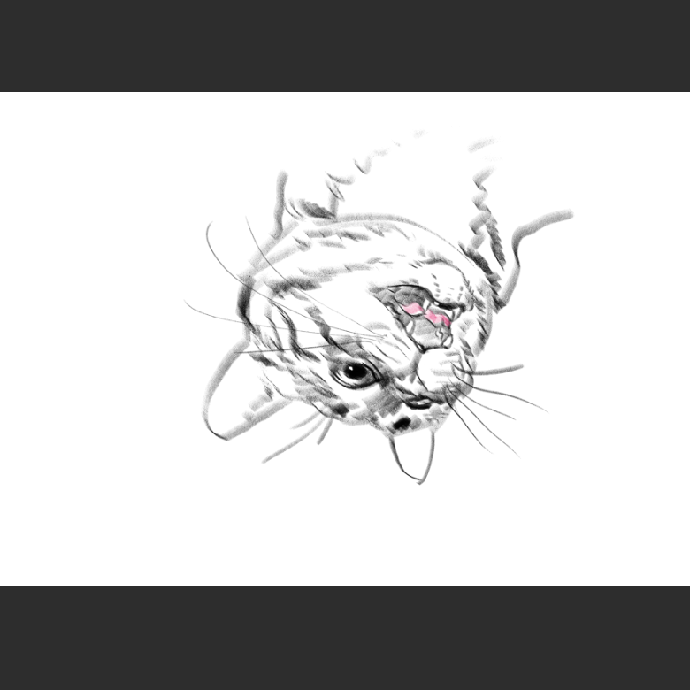 고양이) 우리집 고양이그림 보고가셈_9.png