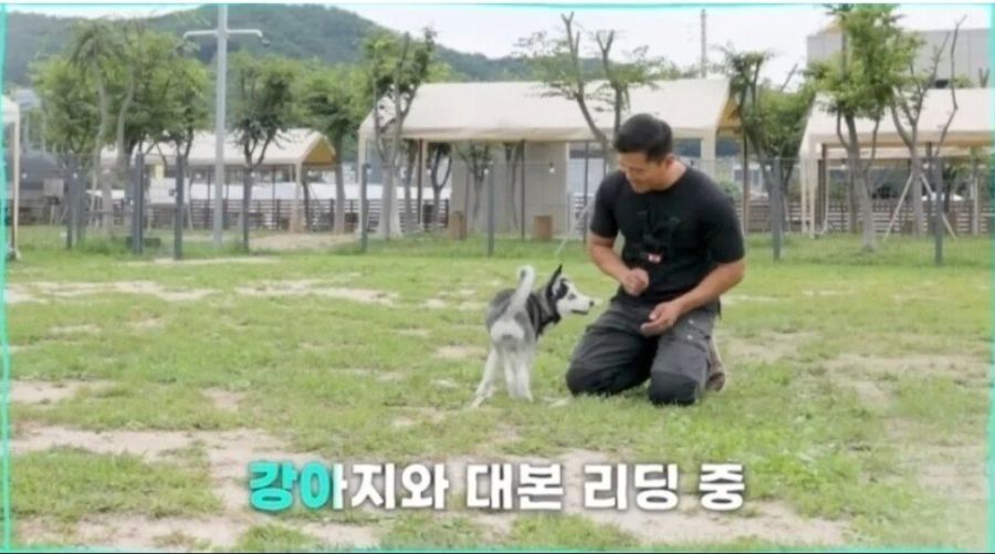 논란 터진 강형욱 애견 방송_1.jpg
