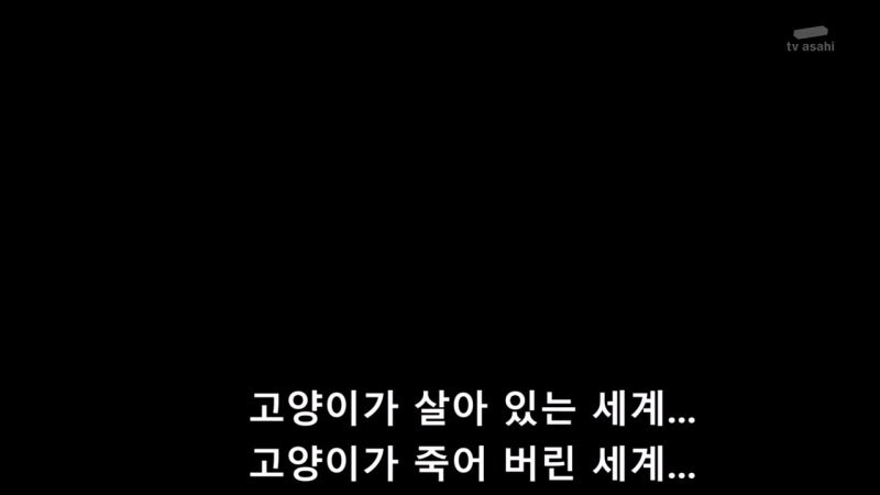 슈뢰딩거의 살인범_42.jpg