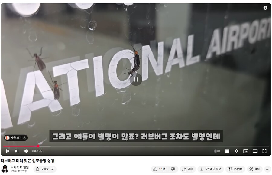러브버그를 인천에서 부르는 별명_1.png