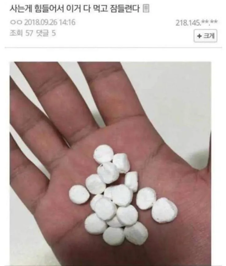 사는 게 힘들어서 이거 다 먹고 잠들련다._1.webp