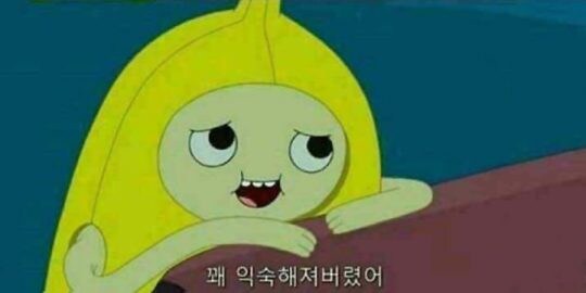 내 뻔뻔함이 어디서 왔나 싶었는데.._1.jpg