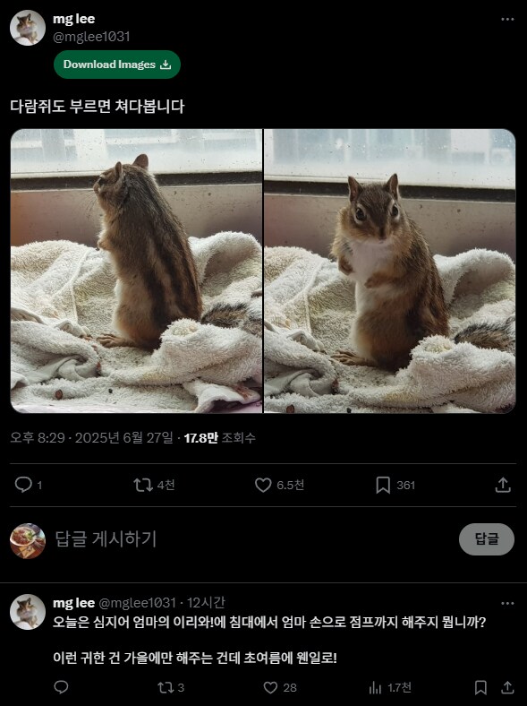 다람쥐 깨알상식을 알려주는 다람쥐 주인쟝_1.png