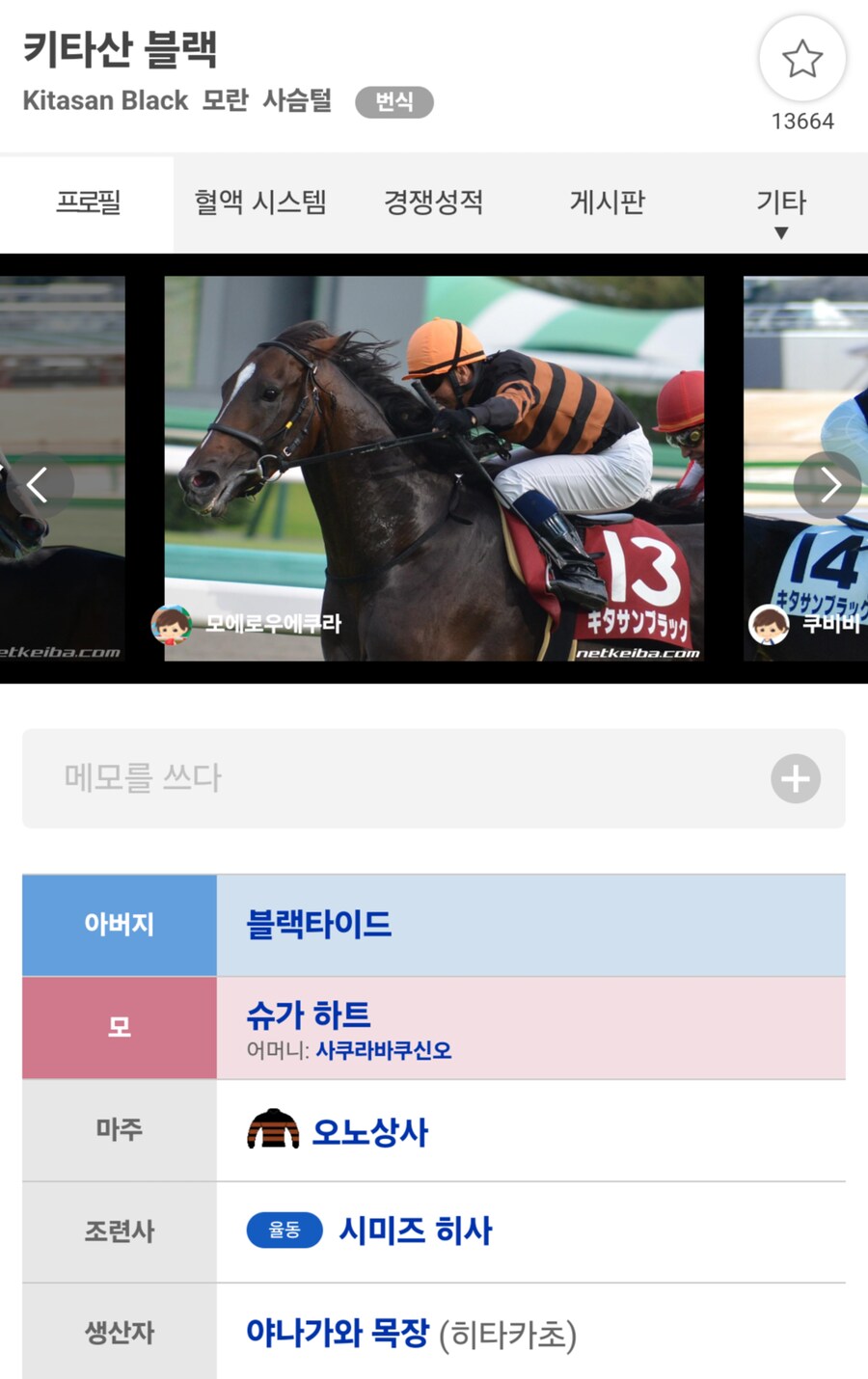 경마, 말딸)레이 데 오로 자마 초양혈 3형제 중 하나 미승리 통과!_1.png