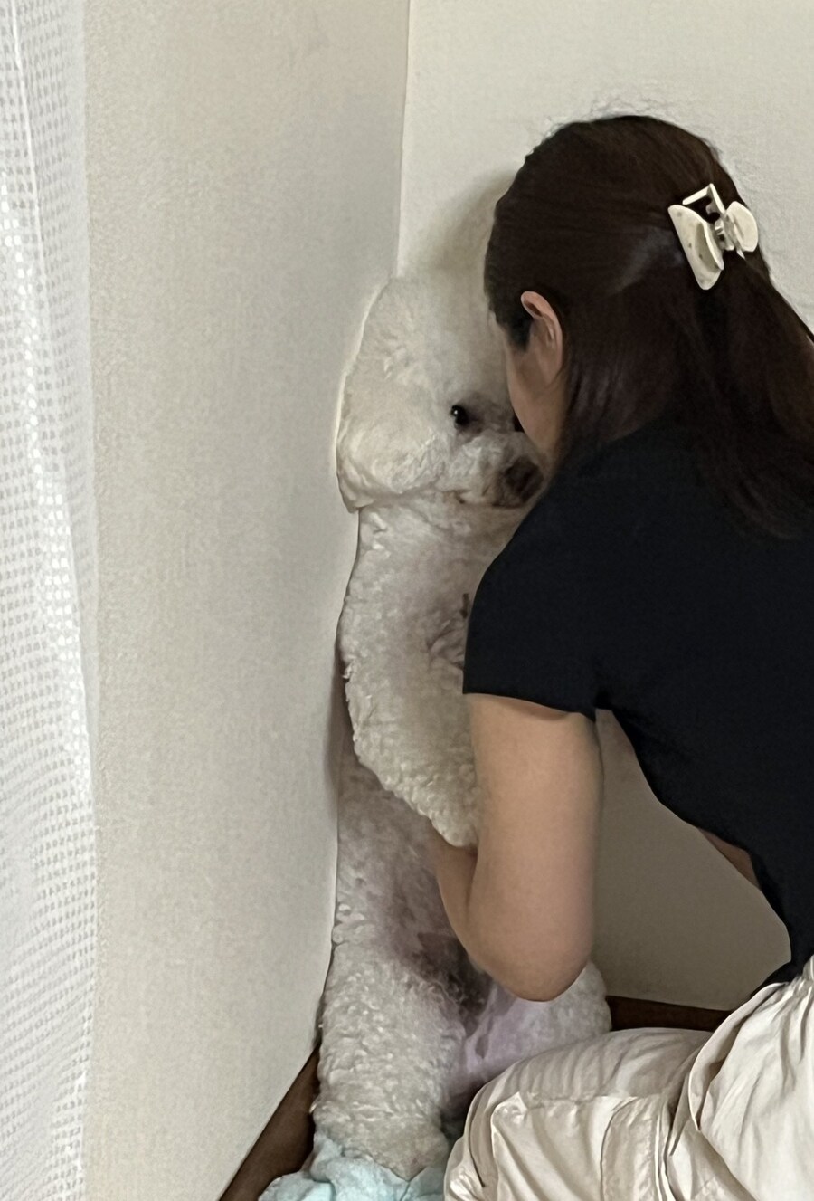 식당을 질주하던 아이가 부모에게 혼나는짤_1.jpg