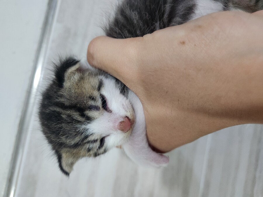 얘들아 예전에 내가 찍었던 귀한거 보여드림_6.jpg