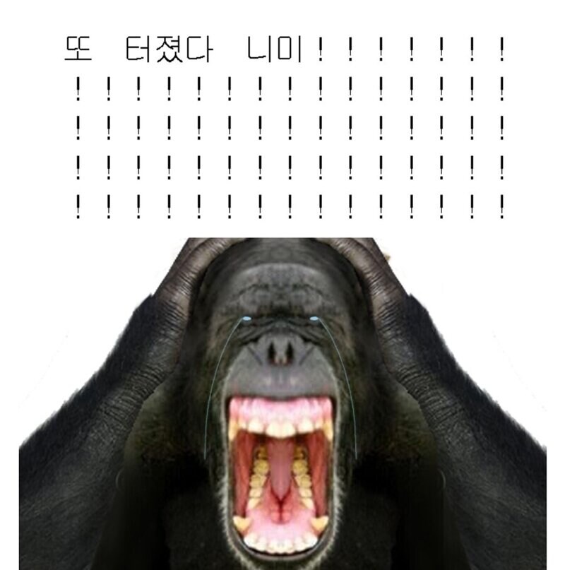 이번에야 말로 호2를 갈 수 있을 줄 알았는데_1.jpg