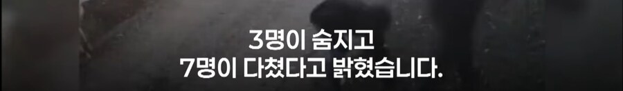 휴전 후 이스라엘 근황.jpg_12.jpg