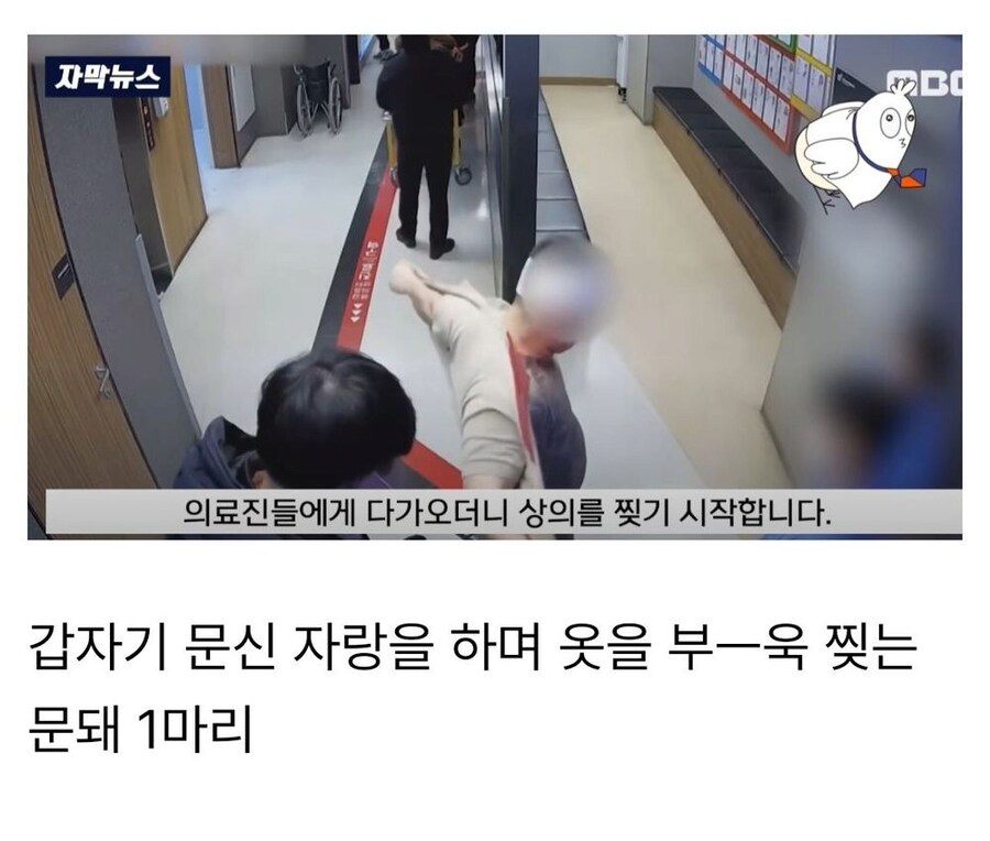 서울에서 활동하는 요즘 MZ조폭들.jpg_8.png