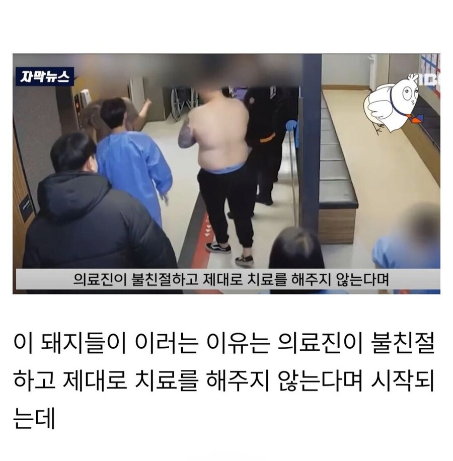 서울에서 활동하는 요즘 MZ조폭들.jpg_12.png