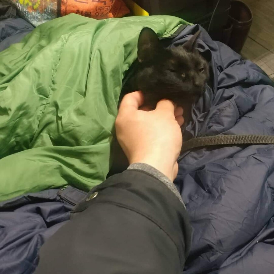 우리집 검은 똥괭이 5_8.jpg