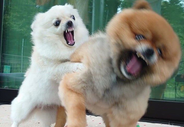 일루와잇 실사 버전.JPG_1.png