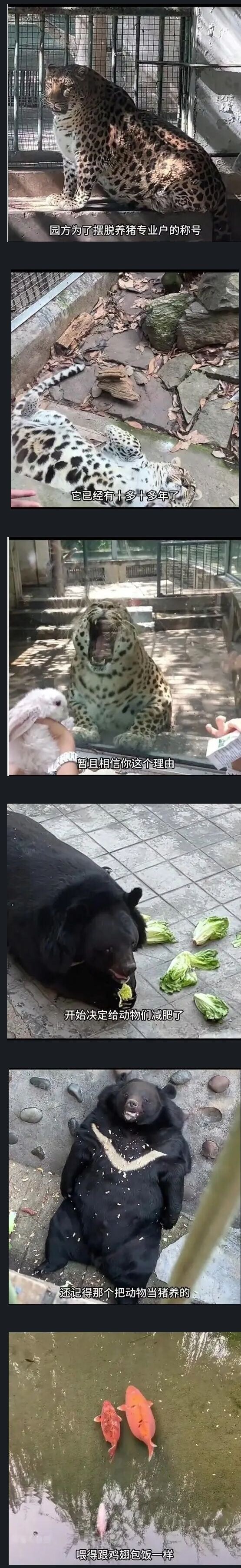 중국 동물원의 사료 민영화 결과 .jpg_1.jpg