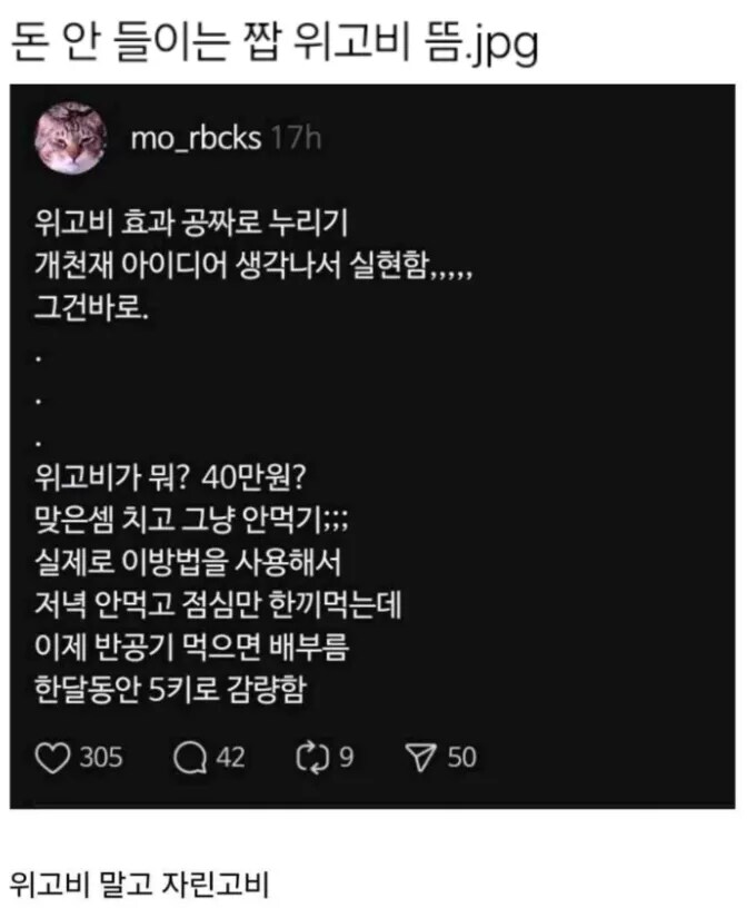 위고비 자린고비_1.png