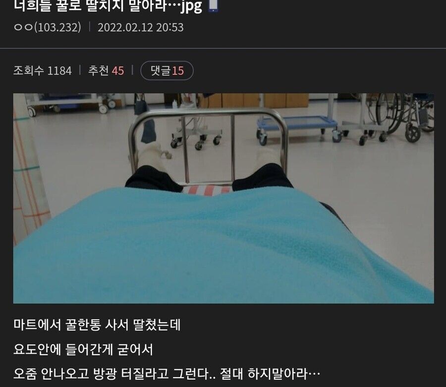 꿀로 딸치지 말라는 디씨인_1.jpg