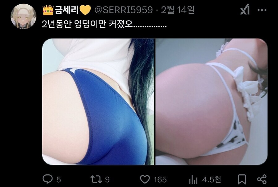 야함) 뱃살이 나와서 일레그 코스프레를 한 어느 버튜버_2.jpg