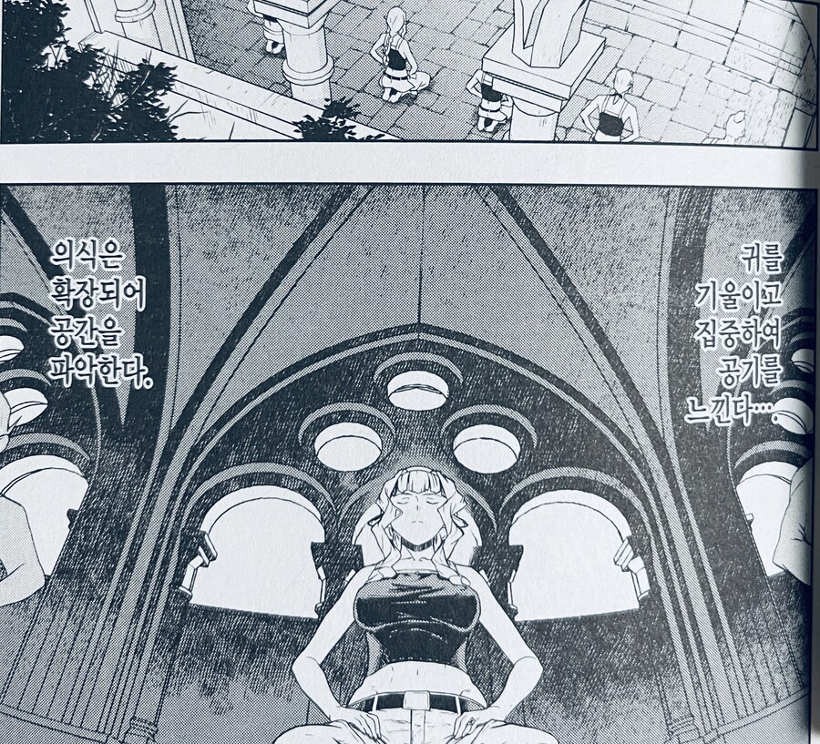 엘프 여기사단장님도 굴복하는 것.manhwa_2.jpg