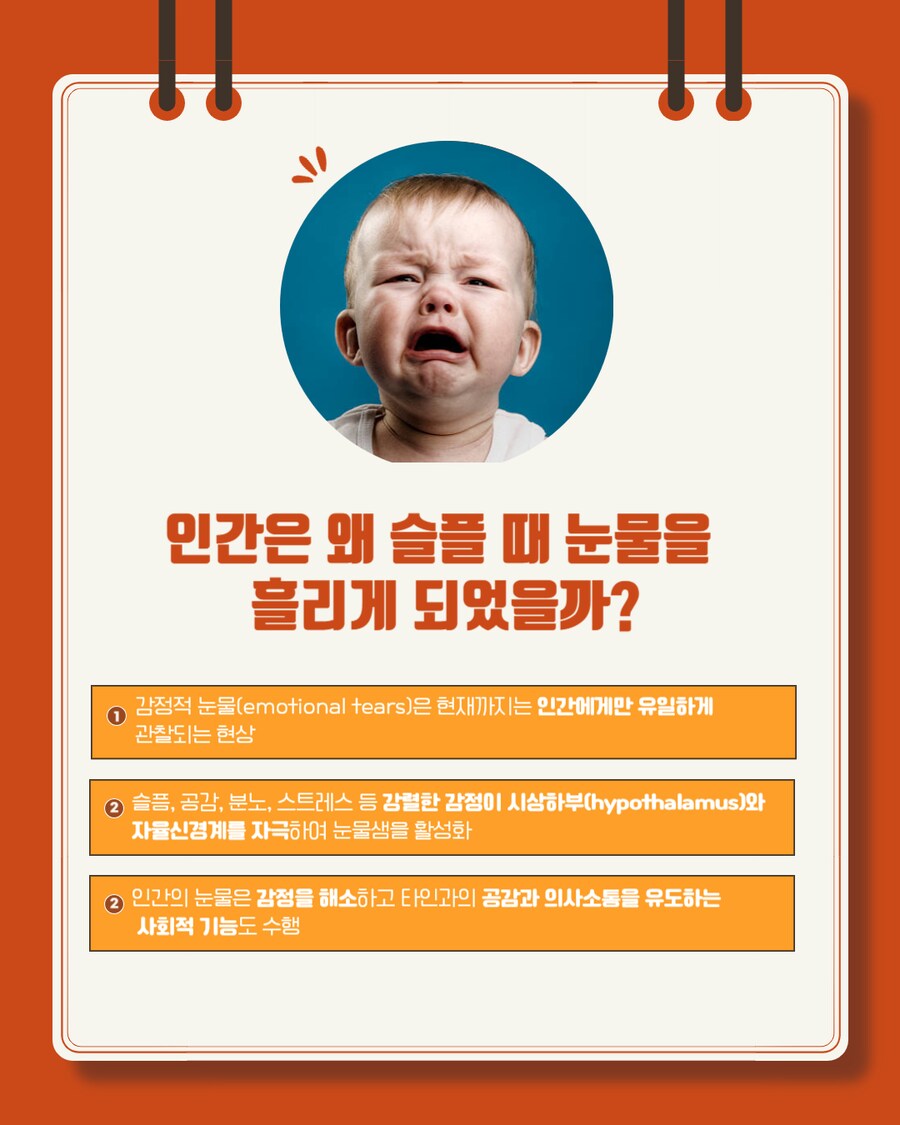 경마) 말이 눈물을 흘리는 이유는?_4.png