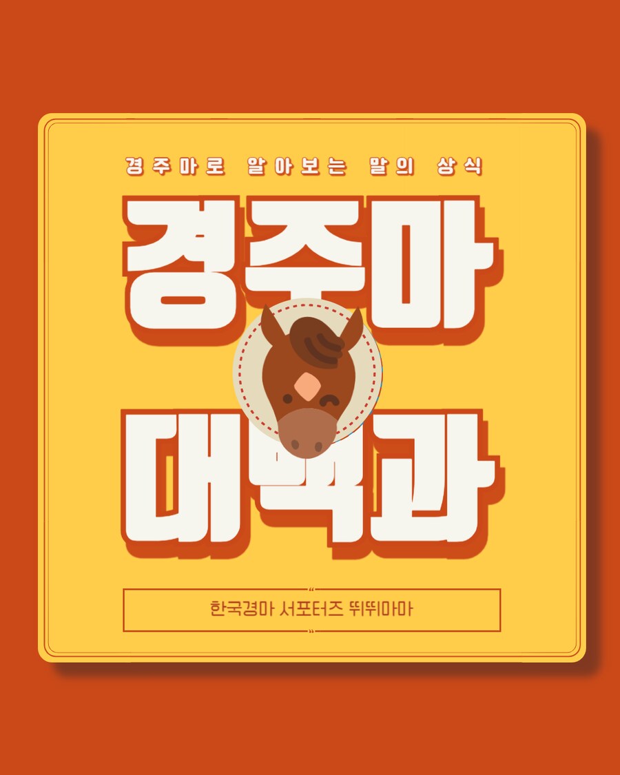 경마) 말이 눈물을 흘리는 이유는?_1.png