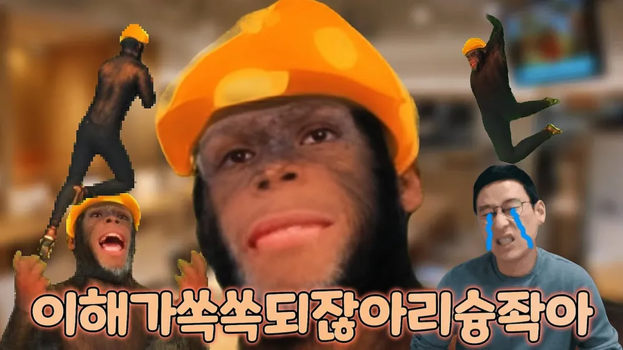 이게 해석까지 해줘야하나_1.webp