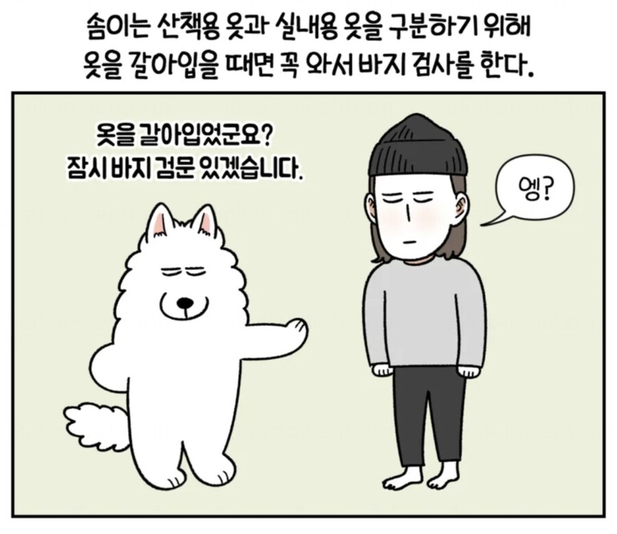 강아지가 여자 주인의 산책 징후 알아내는 방법_1.jpg