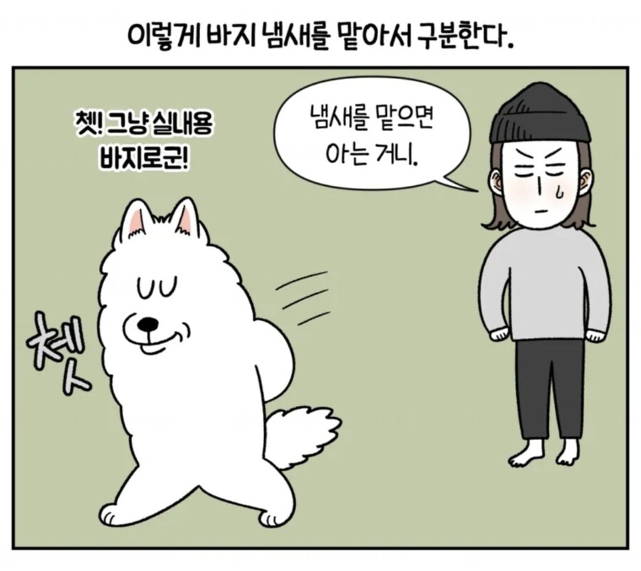 강아지가 여자 주인의 산책 징후 알아내는 방법_2.jpg