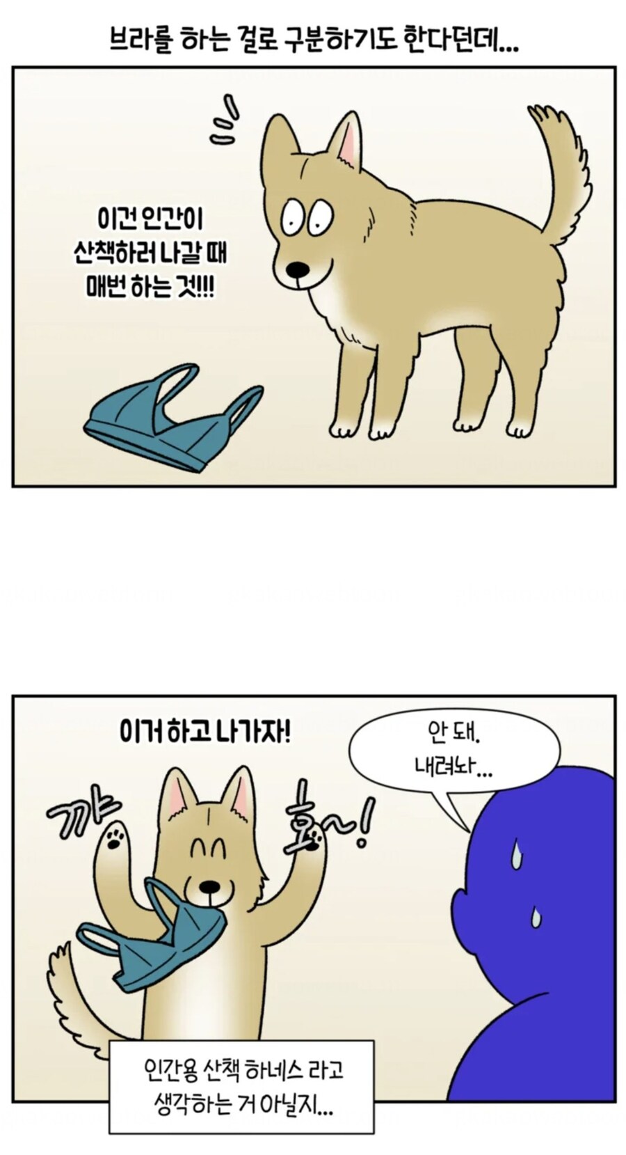 강아지가 여자 주인의 산책 징후 알아내는 방법_4.jpg