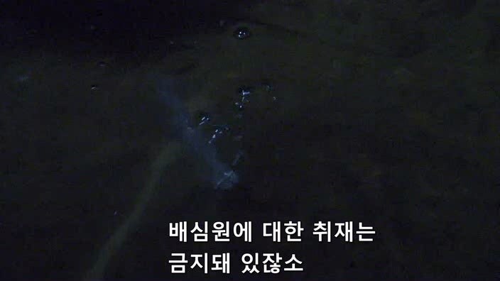 특종을 따내려고 불법을 저지르다가 살인을 저지른 기레기_12.jpg