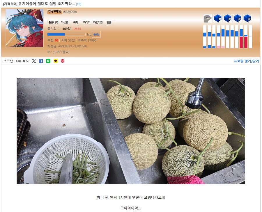 작년에는 전국으로 멜론이 대란이였는데 이번년은 팥빙수 대란인가_1.png