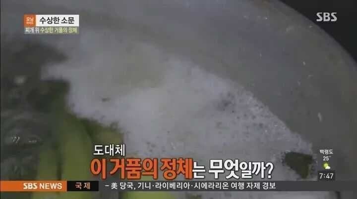 찌개 끊일 때 걷어내는 거품 진실_2.jpg