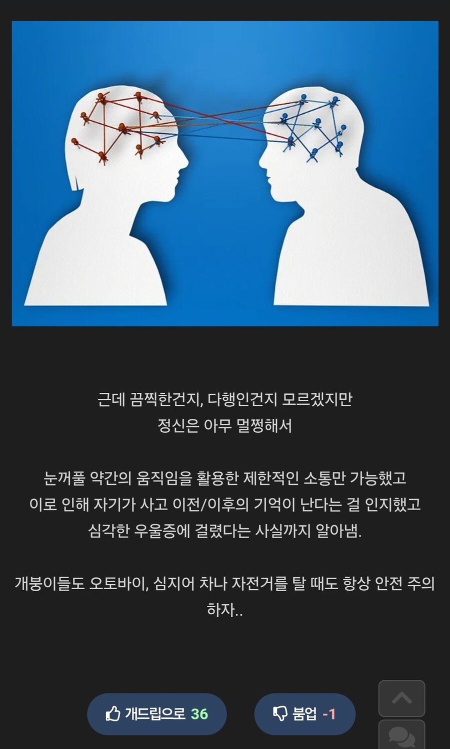 사례 보고중 가장 끔찍한 사지마비 사례.jpg_3.jpg